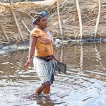 צילום שלמה ולדמן