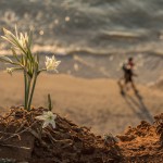 צילום ברוך גיאן