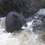 צילום שלמה ולדמן