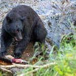 צילום שלמה ולדמן