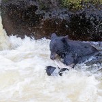 צילום שלמה ולדמן