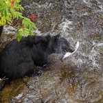 צילום שלמה ולדמן