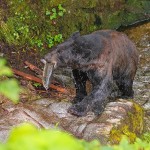 צילום שלמה ולדמן