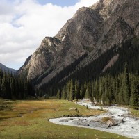 קרקול טרק אלא קול 2 קרקול טרק אלא קול 2